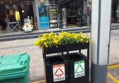 環(huán)衛(wèi)分類垃圾桶上栽花，成為城市風(fēng)景線