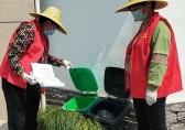 垃圾分類新港村開展垃圾分類入戶檢查和指導(dǎo)活動(dòng)