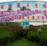 参与生活垃圾分类 创建文明襄阳
