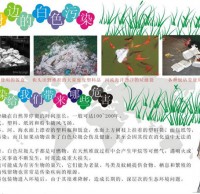 杜绝白色垃圾手抄报