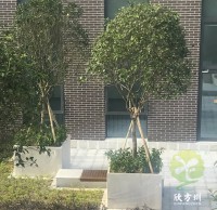 户外物业小区不锈钢树池