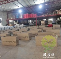 為什么現(xiàn)在的人喜歡選擇不銹鋼花盆呢？